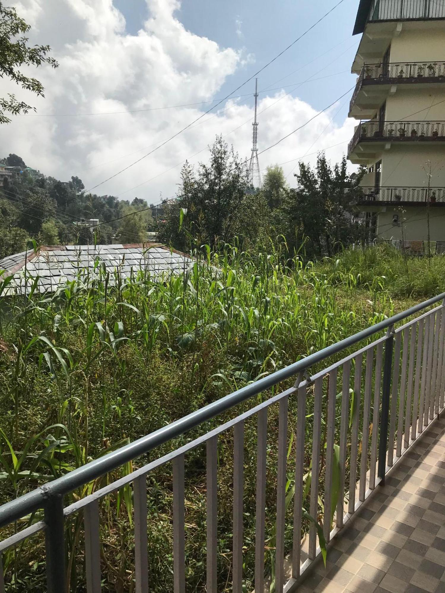 Mcleodganj Diaries Guest House ダラムシャーラー エクステリア 写真